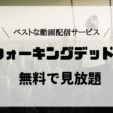 ウォーキングデッド動画を見放題