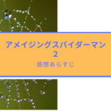 アメイジングスパイダーマン2の感想あらすじ