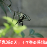 鬼滅の刃17巻の感想あらすじネタバレ