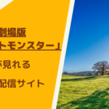 ポケモン映画が見れる動画配信サイト