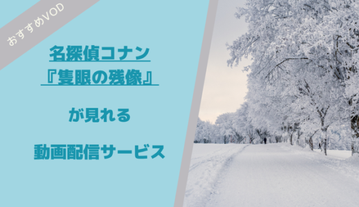 名探偵コナン隻眼の残像が見れる動画配信サービス