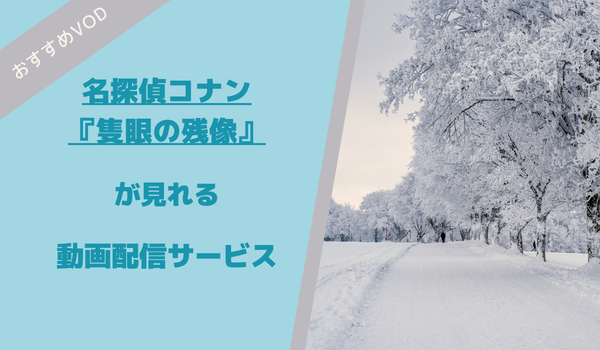 名探偵コナン隻眼の残像が見れる動画配信サービス