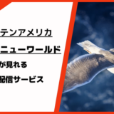 キャプテンアメリカ：ブレイブニューワールドが見れる動画配信サービス