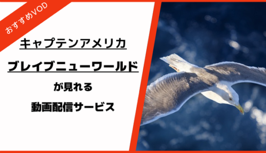 キャプテンアメリカ・ブレイブニューワールドを見る方法は？配信中の動画サービスからオススメを紹介