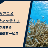 スティッチ！が見れる動画配信サービス