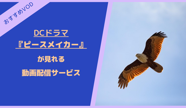 ピースメイカーが見れる動画配信サービス