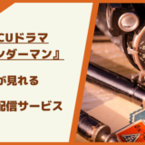 ワンダーマンが見れるおすすめVOD